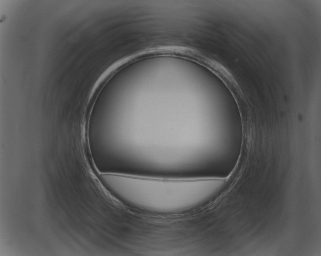 X0000086781420200704130817
