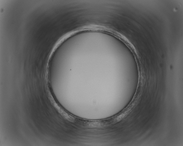 X0000086781421200704130817