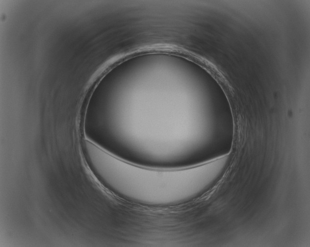 X0000086781422200704130817
