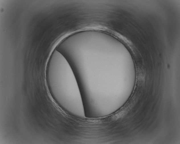 X0000086781423200704130817