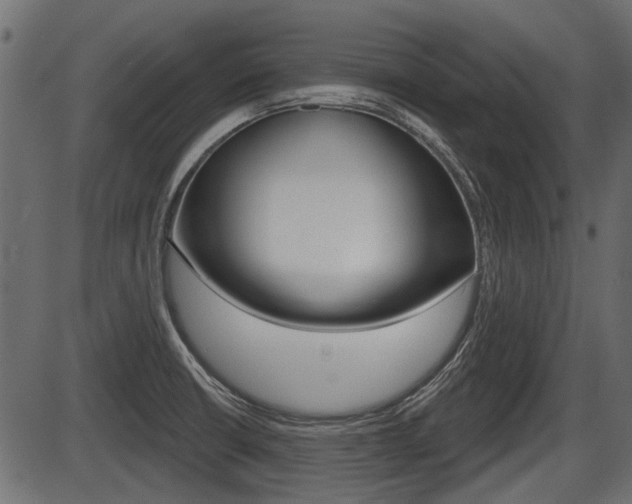 X0000086781426200704130817