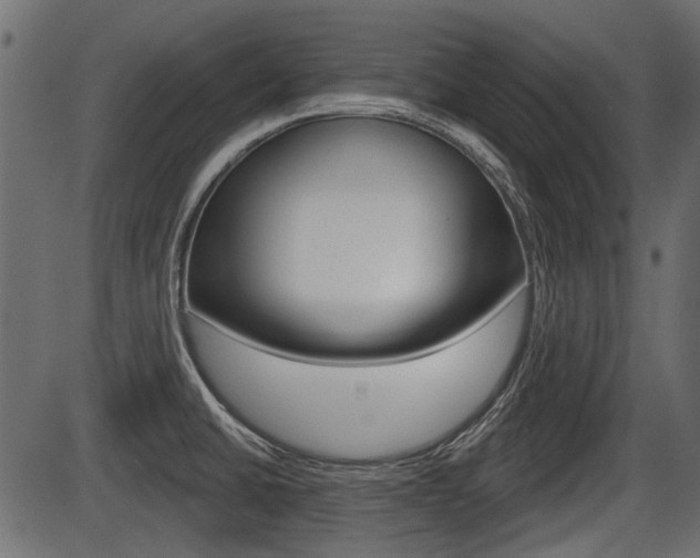 X0000086781430200704130817