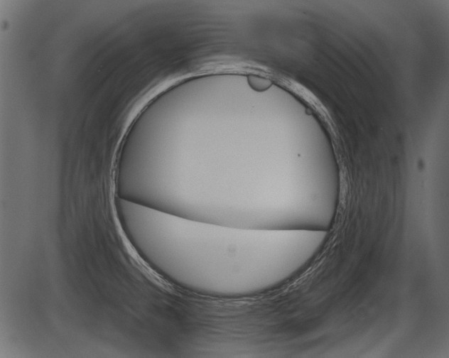 X0000086781431200704130817