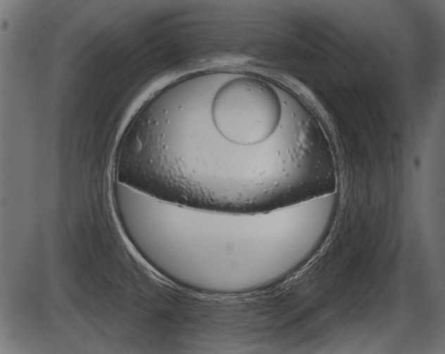 X0000086781432200704130817