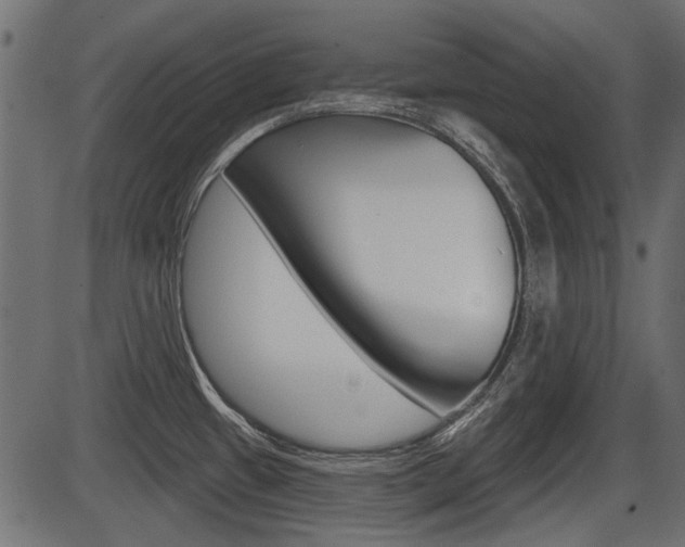 X0000086781433200704130817