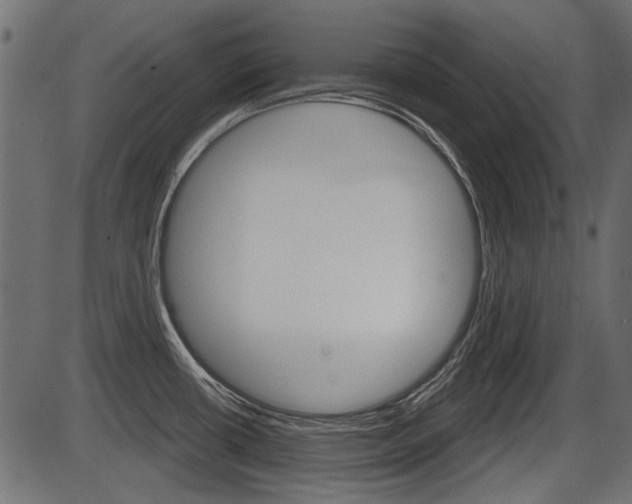 X0000086781434200704130817