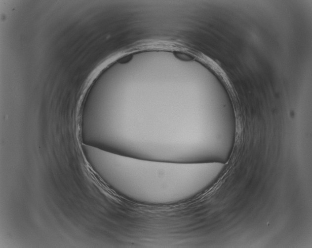 X0000086781435200704130817