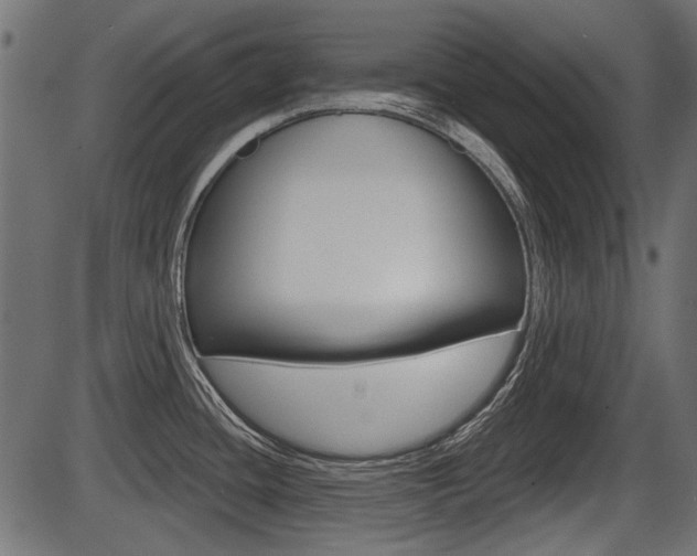 X0000086781436200704130817