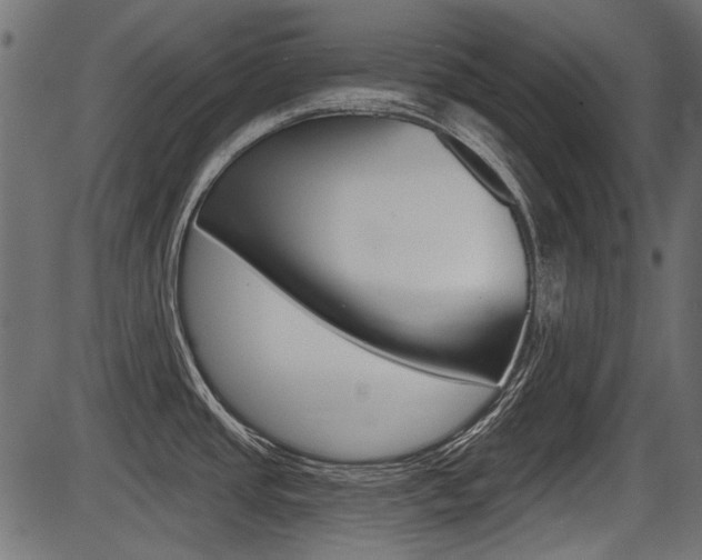 X0000086781437200704130817