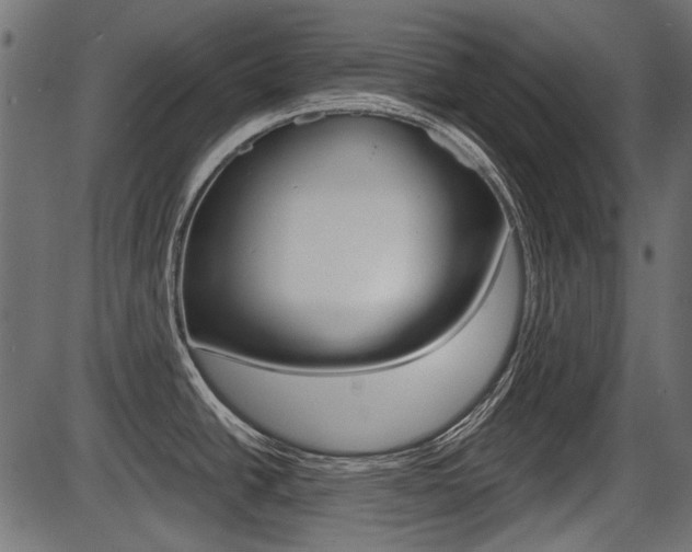 X0000086781438200704130817