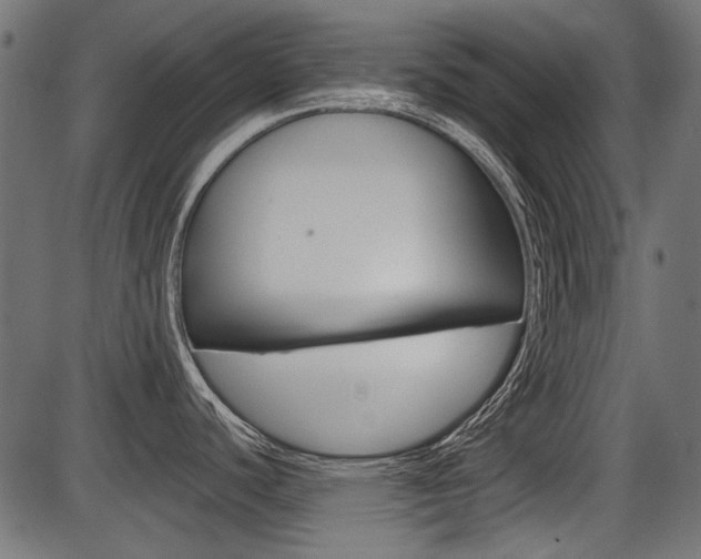 X0000086781440200704130818