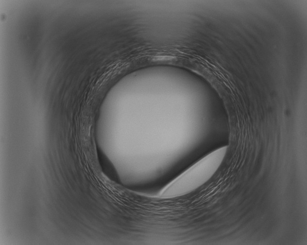 X0000086781441200704130817