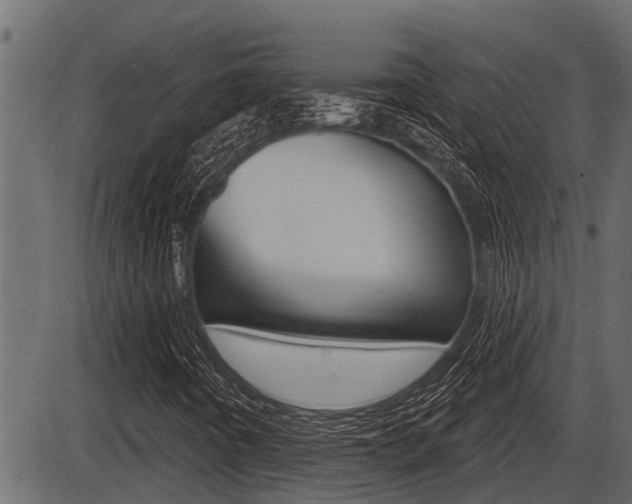 X0000086781442200704130817