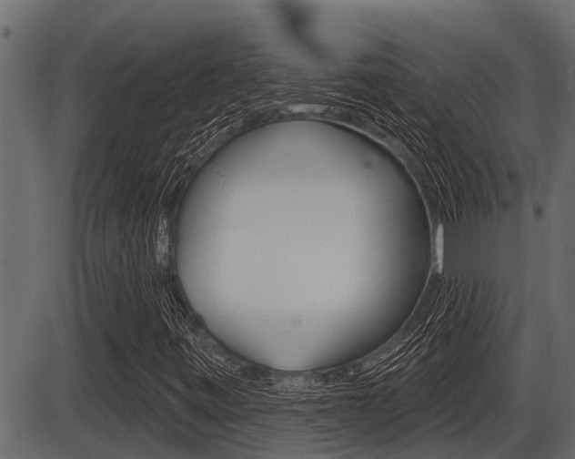 X0000086781443200704130817