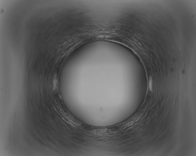 X0000086781444200704130817