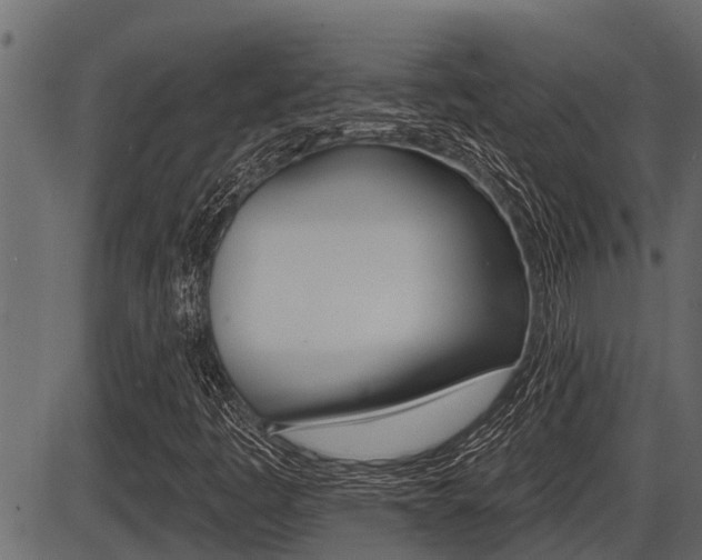 X0000086781445200704130817