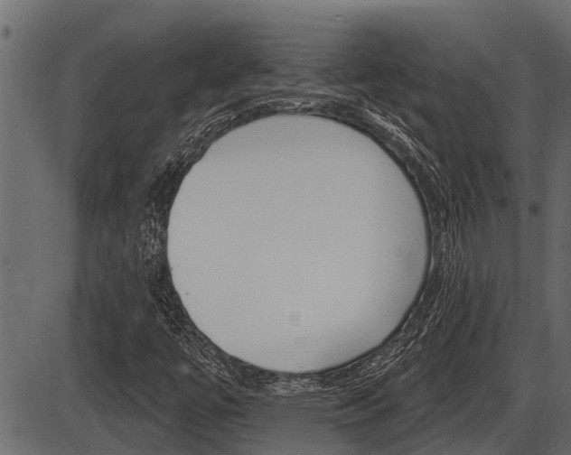 X0000086781447200704130817
