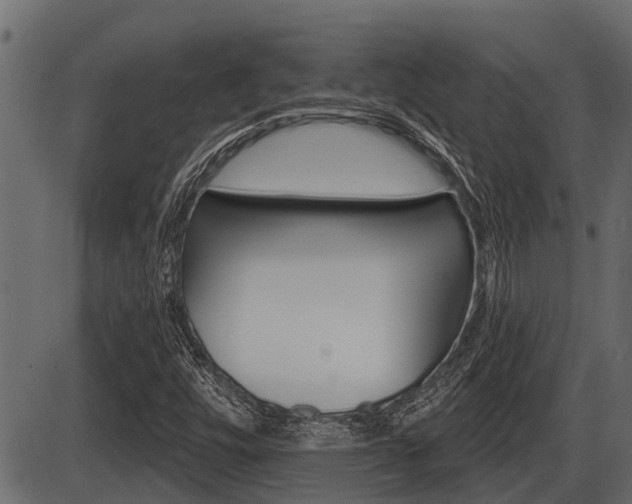 X0000086781448200704130817