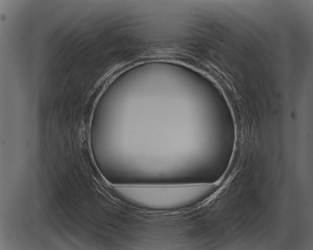 X0000086781449200704130817