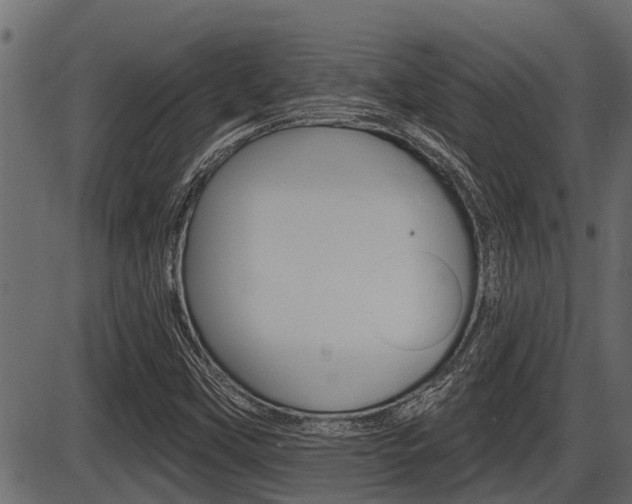 X0000086781451200704130817