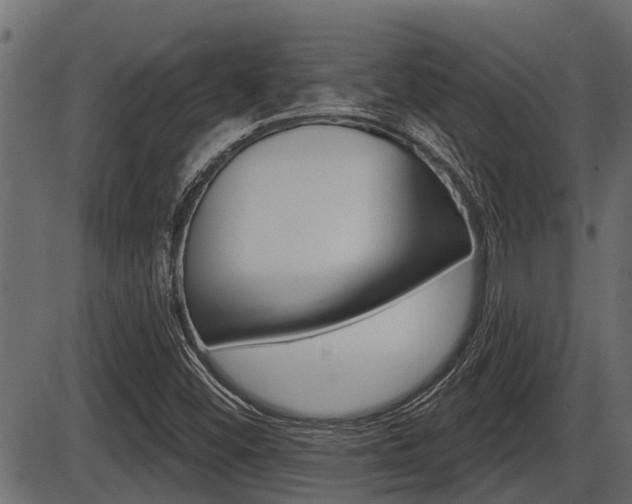 X0000086781452200704130817