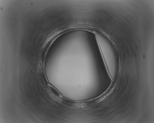 X0000086781453200704130817