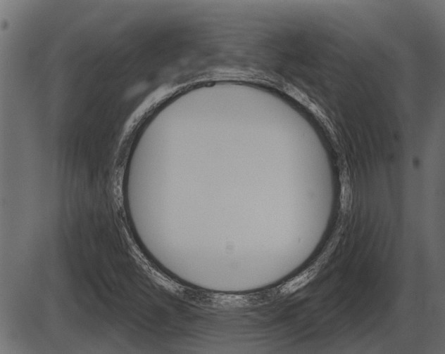 X0000086781454200704130816