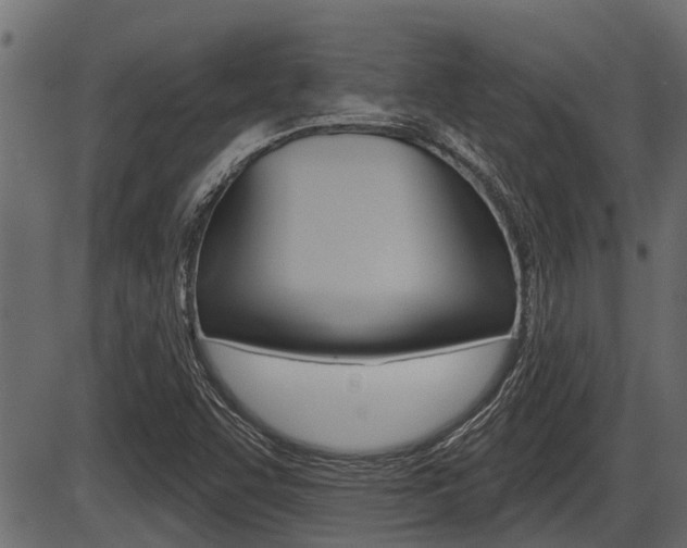 X0000086781455200704130816