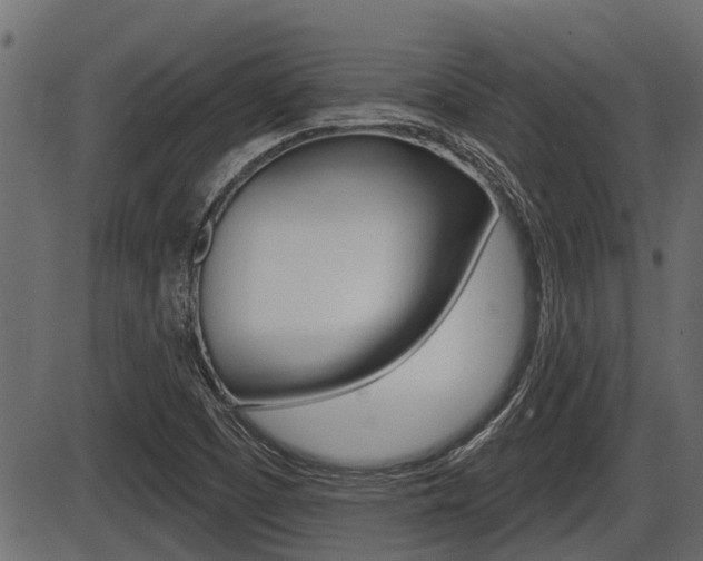 X0000086781457200704130816