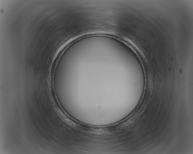 X0000086781460200704130816