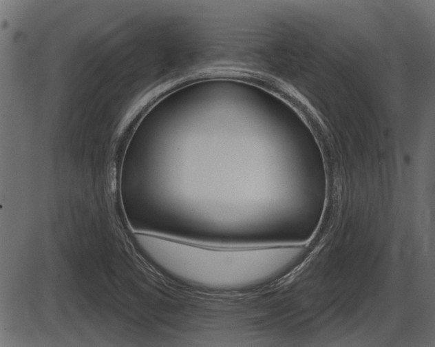 X0000086781461200704130816