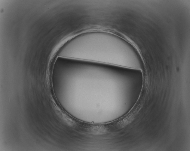 X0000086781464200704130816