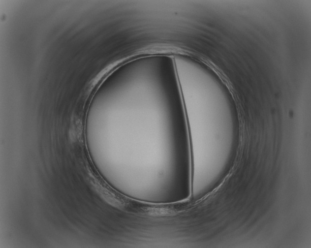 X0000086781465200704130816