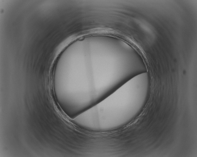 X0000086781467200704130816
