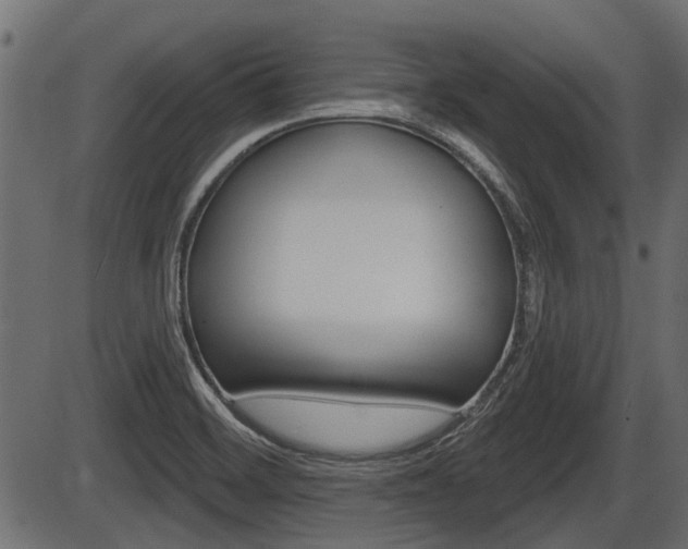 X0000086781468200704130816