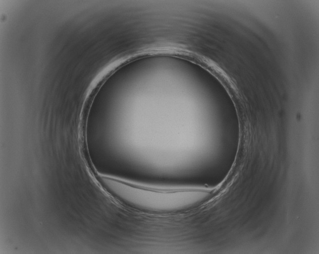 X0000086781469200704130816