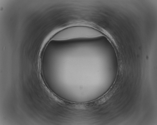 X0000086781472200704130816