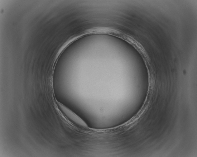X0000086781473200704130816