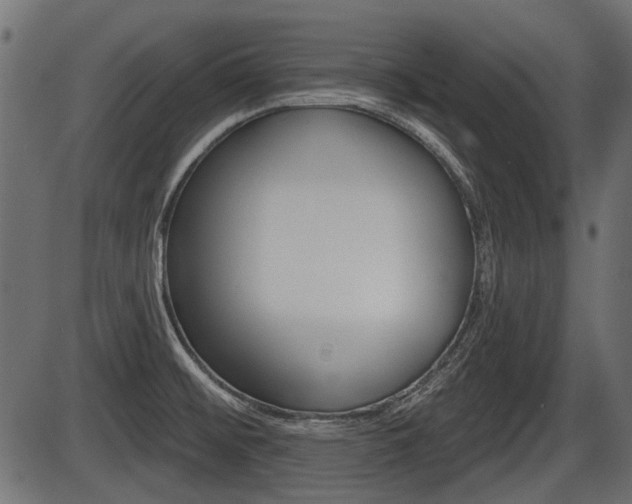 X0000086781476200704130816