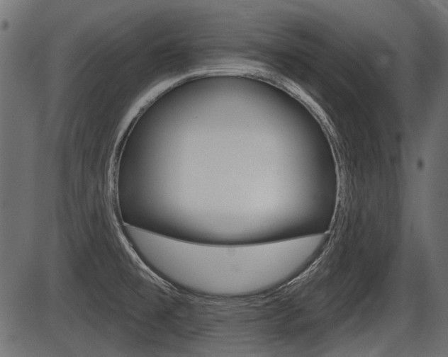X0000086781477200704130816