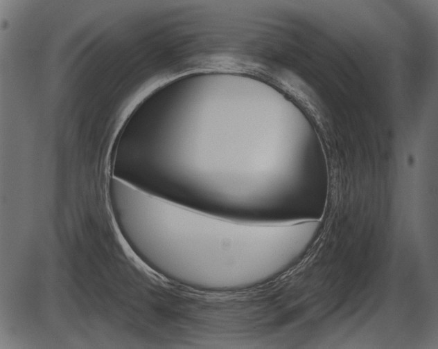 X0000086781479200704130816