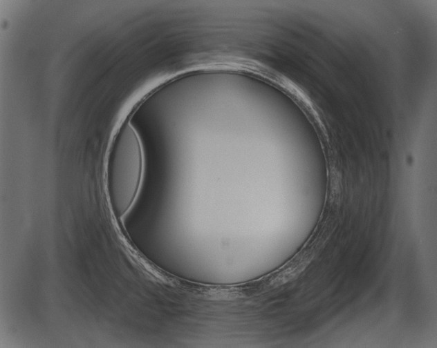 X0000086781480200704130816