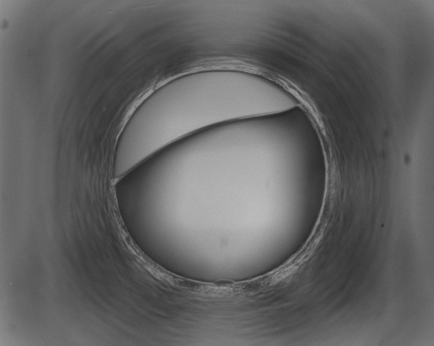 X0000086781481200704130816