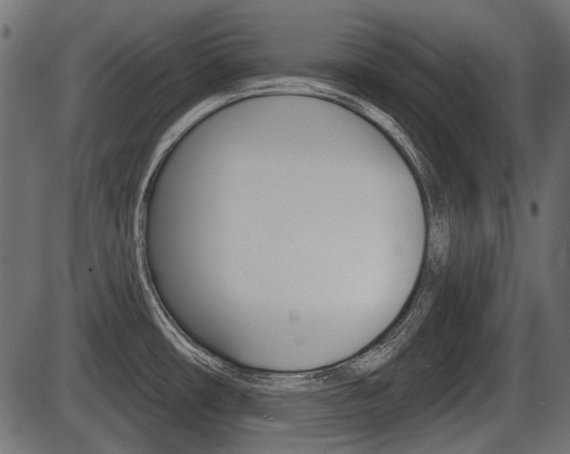 X0000086781482200704130816