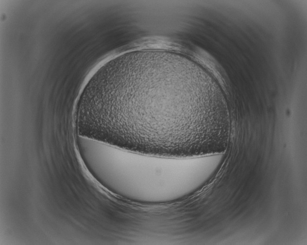 X0000086781483200704130816