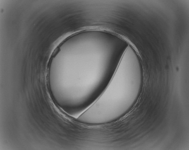 X0000086781484200704130816