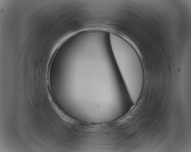 X0000086781485200704130816