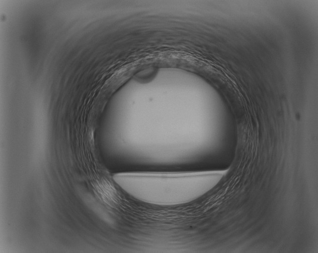 X0000086781489200704130815