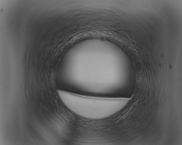 X0000086781490200704130815