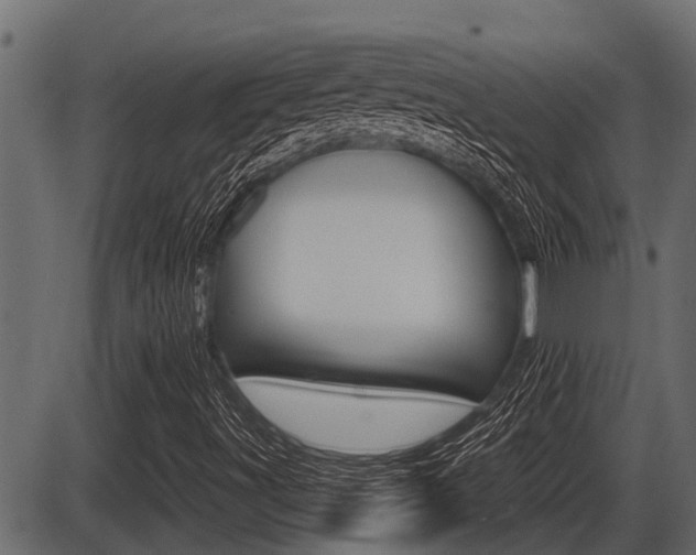 X0000086781491200704130815